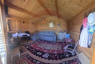 Teren de 2900 mp, în Păucea - 7