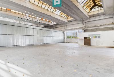 Hală de 218 mp pentru depozitare sau producție - 1