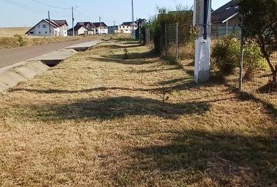 Casă cu 3 camere în Berchișești - 3