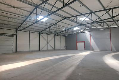 Drumul intre Tarlale, sector 3, hala 1180 mp - 5