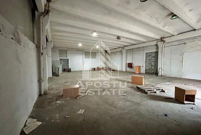 Spațiu industrial, de 225 mp, în Șagului