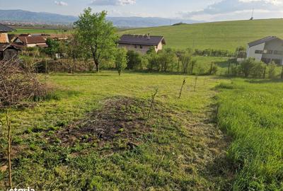 Teren de 1250 mp, în Șura Mare