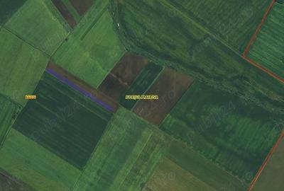 Teren de 5000 mp, în Central