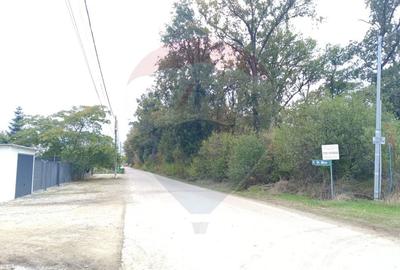 Teren 2,501mp Ghermanesti / Strada Milcov - 3