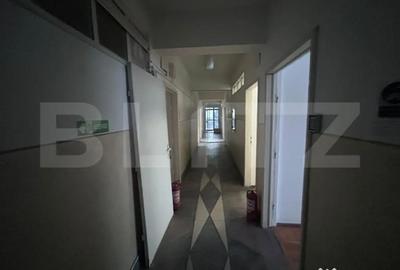 Spațiu comercial, de 231 mp, în George Enescu - 9