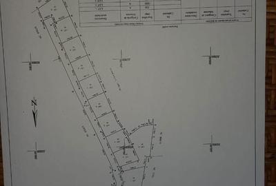 Spațiu comercial, în Dancaș - 3