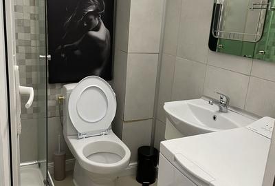 Garsonieră decomandată în Exterior Vest - 1