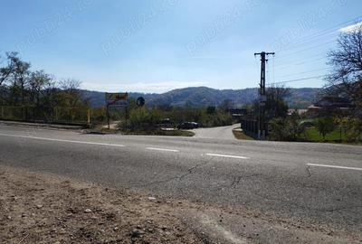 Teren 10000mp.Loc Calvini - 4