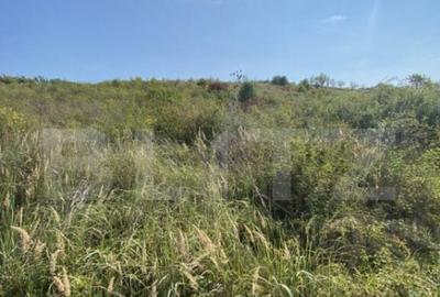 Teren intravilan/extravilan centura Zalau, 8200 mp - 3