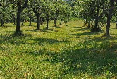 Casa de vanzare! - 3