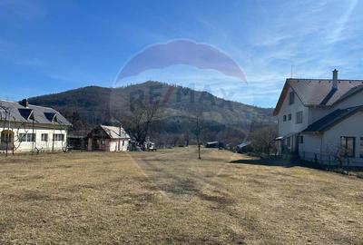 Teren de 3606 mp, în Pângărați - 7