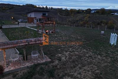 EXCLUSIVITATE! Cabana cu o priveliste unica in Niscov - 25