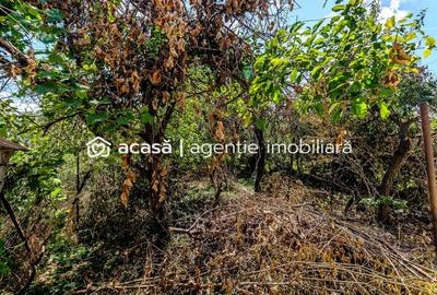 Casă individuală cu 5 camere cu Canalizare în Pârneava - 12