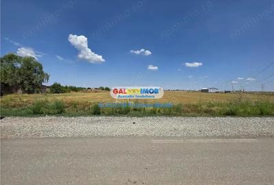 Teren 4495 mp situat in comuna Clinceni aproape de zone Rezidentiale - 8