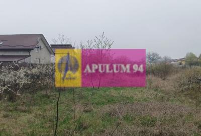 Teren de 6078 mp, în Săbăreni - 3