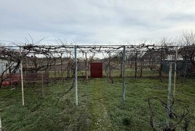 Casa de vanzare in Firiteaz, 24 km de Arad, 2787 metri patra?i. - 10