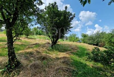 Teren intravilan pentru constructii de vanzare in Zorilor, Cluj Napoca - 3