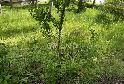 Apartament cu 3 camere decomandat, mobilat în Zorilor - 32