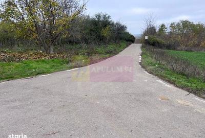 Spațiu comercial, în Comana - 4