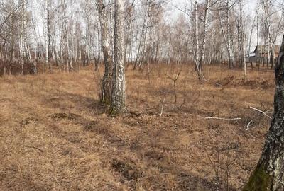 Spațiu comercial, în Baia de Fier - 1