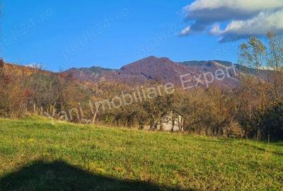 Teren de vanzare in comuna Arefu, jude? Arge?, in apropiere de Transfagara?an. - 15