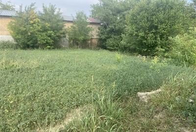 Casă individuală cu 3 camere cu Teren 2087 Mp în Suraia - 4