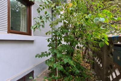 Casă cu 5 camere cu Teren 159 Mp în Tineretului - 4