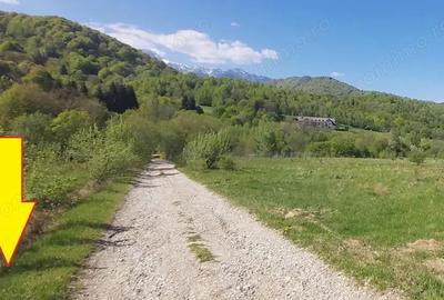 Teren de 1266 mp, în Cheile Râșnoavei - 12