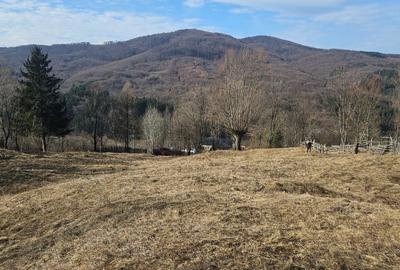 Spațiu comercial, în Secăria - 1