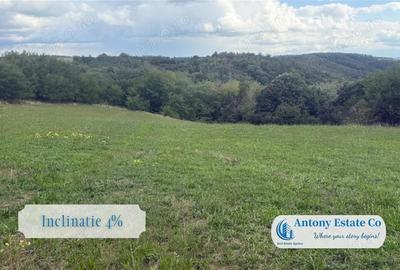 Teren de 5300 mp, în Uileacu de Criș - 4