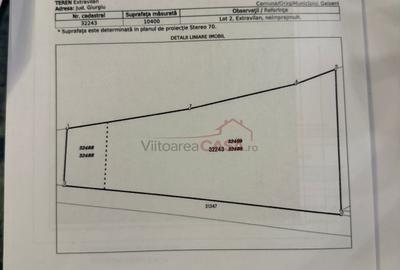 Teren agricol intravilan de 9400 mp, în Căscioarele (Găiseni) - 2