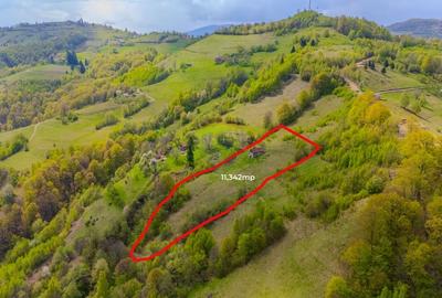 Teren 11,342 mp Poiana Marului /Extravilan/Oportunitate investiție - 1