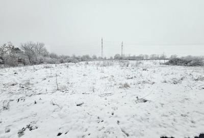 Teren Ronat Timisoara - 1