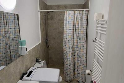 De inchiriat garsoniera zona Badea Cartan - 1