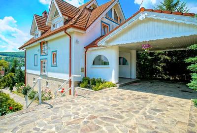 Proprietate unică pe malul lacului Moacșa – liniște, rafinament, eleganta - 6