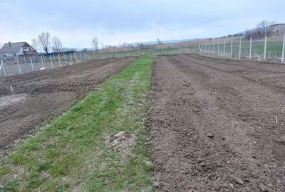 Spațiu comercial, în Stupinii Prejmerului - 4