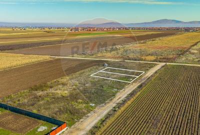 Teren Construcții intravilan de 650 mp, în Nord - 3