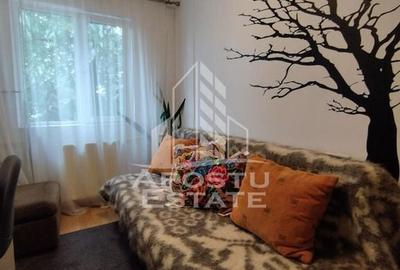 Apartament cu 3 camere semidecomandat, mobilat în Șagului - 6