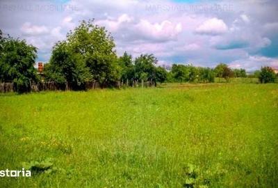 Teren de 4000 mp, în Petrești - 2