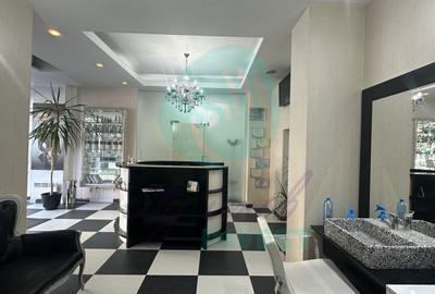 Spatiu Comercial CALEA MOSILOR - 4