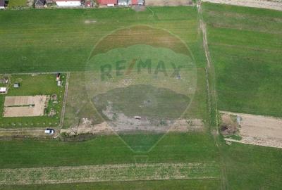 Teren Construcții intravilan de 1343 mp, în Cătălina - 5