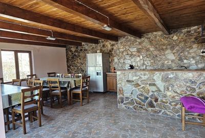 Casa de vacanta cu 6 camere + teren suprafata 7.384 mp, Bradet, Bihor - 12