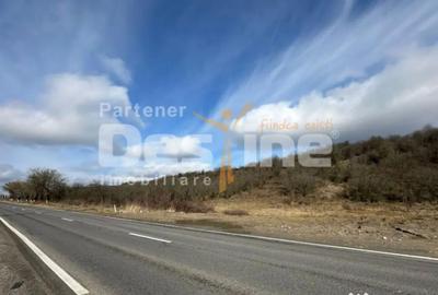 Teren în Dragomirești - 7