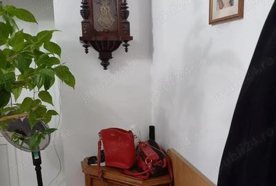 Garsoniera Bucovina (Botosani) bloc mixt - 10