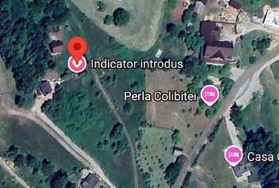 Teren de 18000 mp, în Prundu Bârgăului - 6