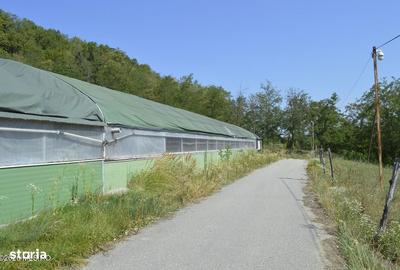 Spațiu comercial, de 1,887 mp, în Glâmbocel - 4