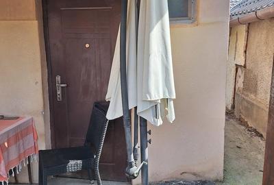 Apartament cu 2 camere decomandat în Nufărul - 1