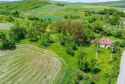 Teren intravilan Codor. Comision 0! - 10