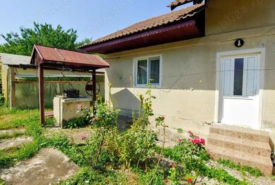 Casa individuala cu teren 1000m mobilata Cocorova, Mehedinti - 4