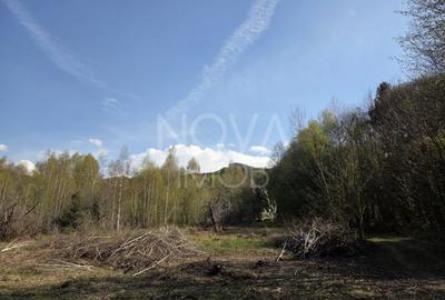 Teren Construcții intravilan de 4900 mp, în Viștea - 7